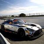 Merc17_PaulR