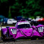 Spike_CTMP (1)
