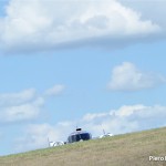Italian-Endurance.com - COTA WEC 2015 - PLM_4952