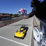 Flag_Caddy