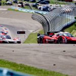 Whelen31 (1)